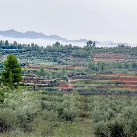 Camins Del Priorat : Ermita Pinyeres El Masroig